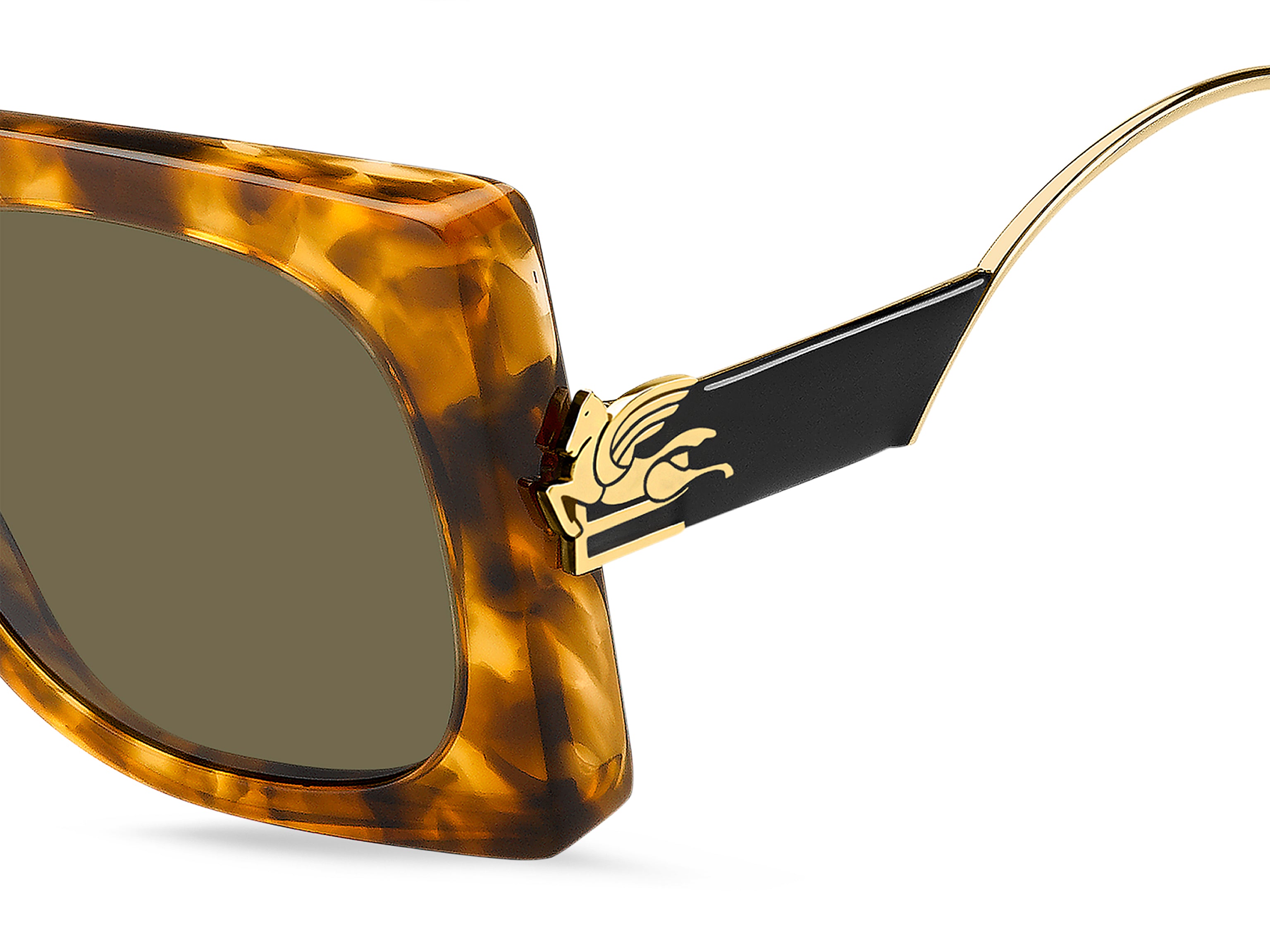 ETRO 0026/S EPZ QT 54