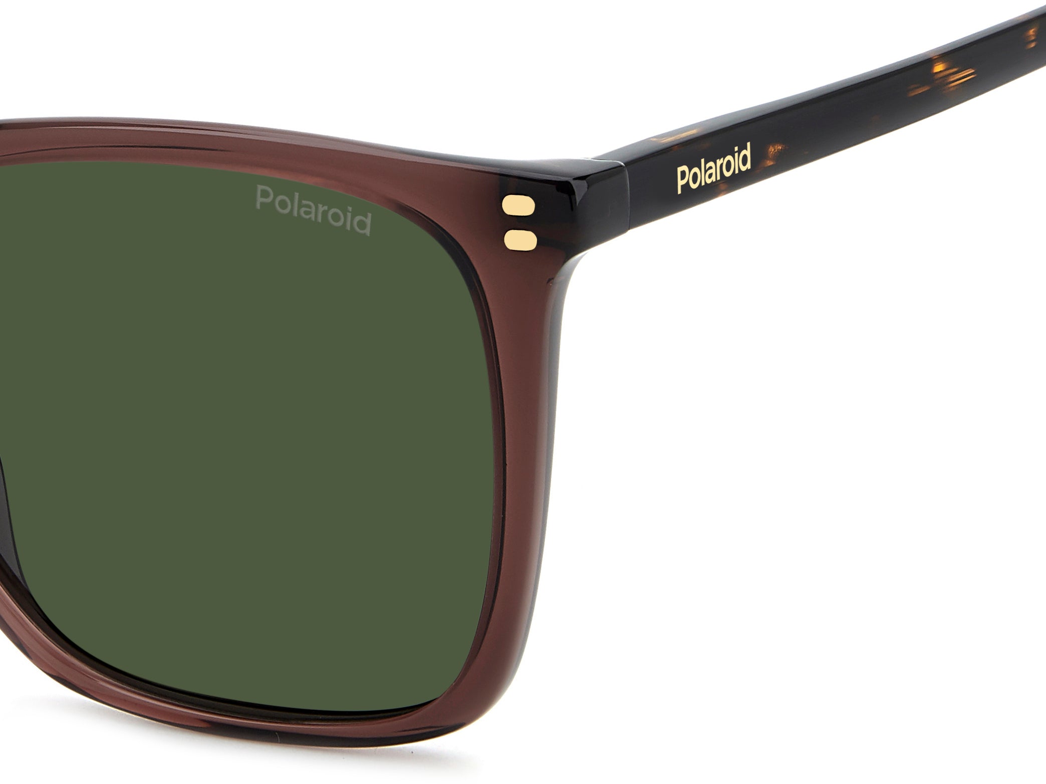 POLAROID PLD 4201/S/X 09Q UC 55