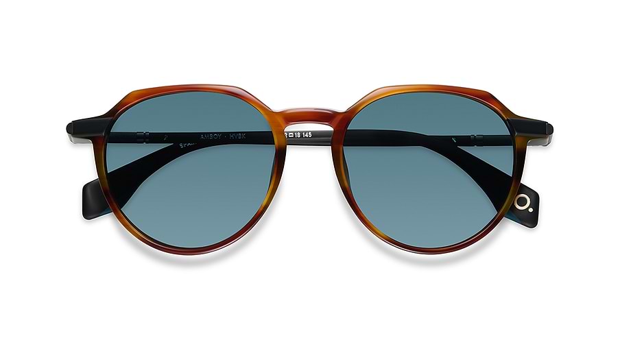 Sunglasses etnia barcelona amboy sun hvbk havana pantos masculino size 52mm - Detailed view