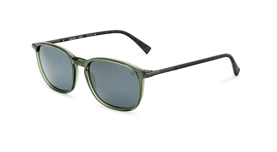Gafas de sol etnia barcelona cactus sun grbk masculino talla 53mm - Vista principal