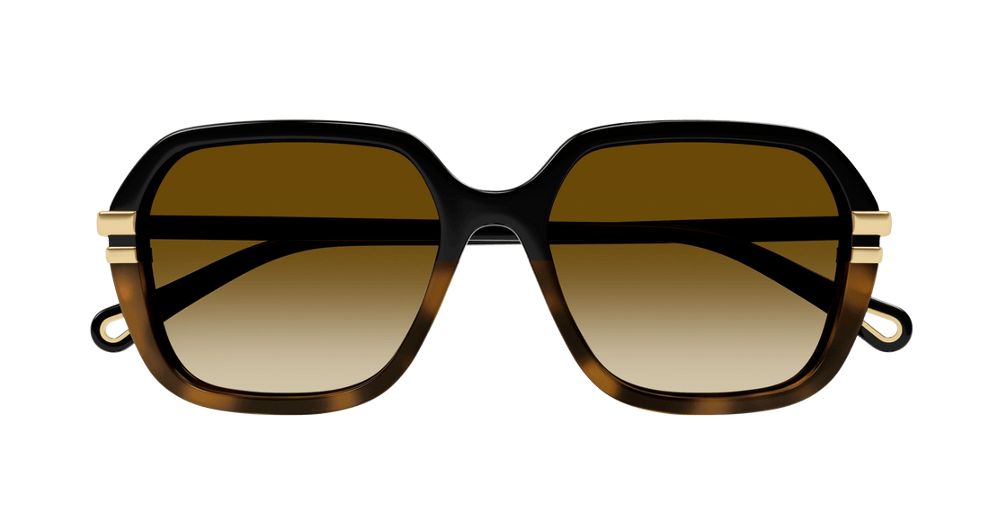 Lunettes de soleil chloé ch0204s 003 femenino taille 57mm - Vue détaillée