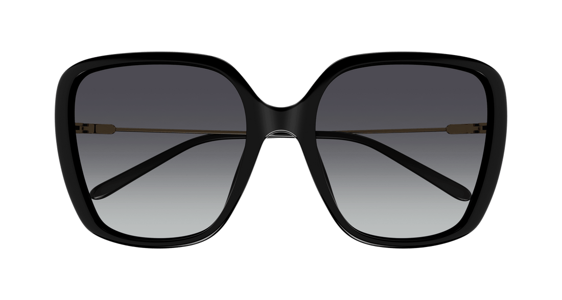 CHLOÉ CH0173S 001 57