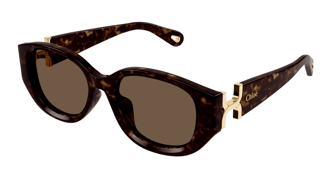 Lunettes de soleil chloé ch0237sk 002 femenino taille 54mm - Vue principale