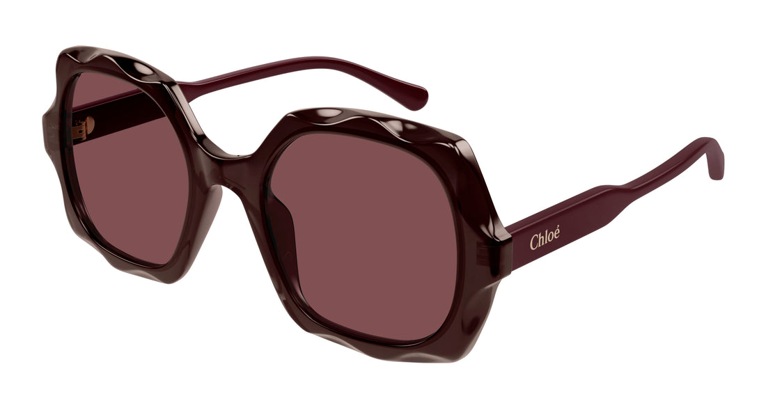 CHLOÉ CH0226S 002 53