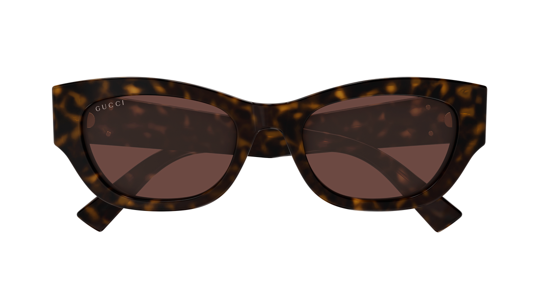 Occhiali da sole gucci gg1954sa 002 havana cat eye femenino taglia 53mm - Vista dettagliata