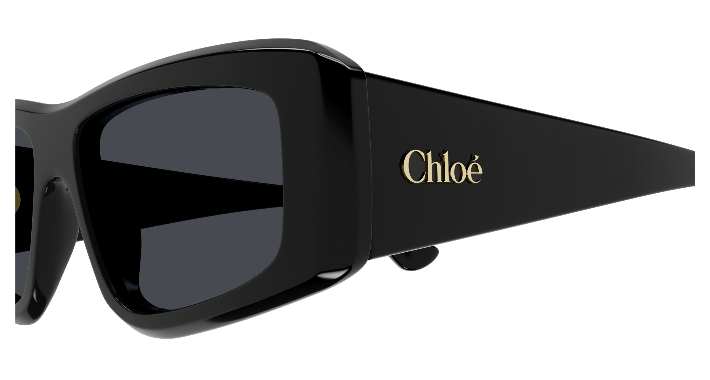 CHLOÉ CH0299S 001 55