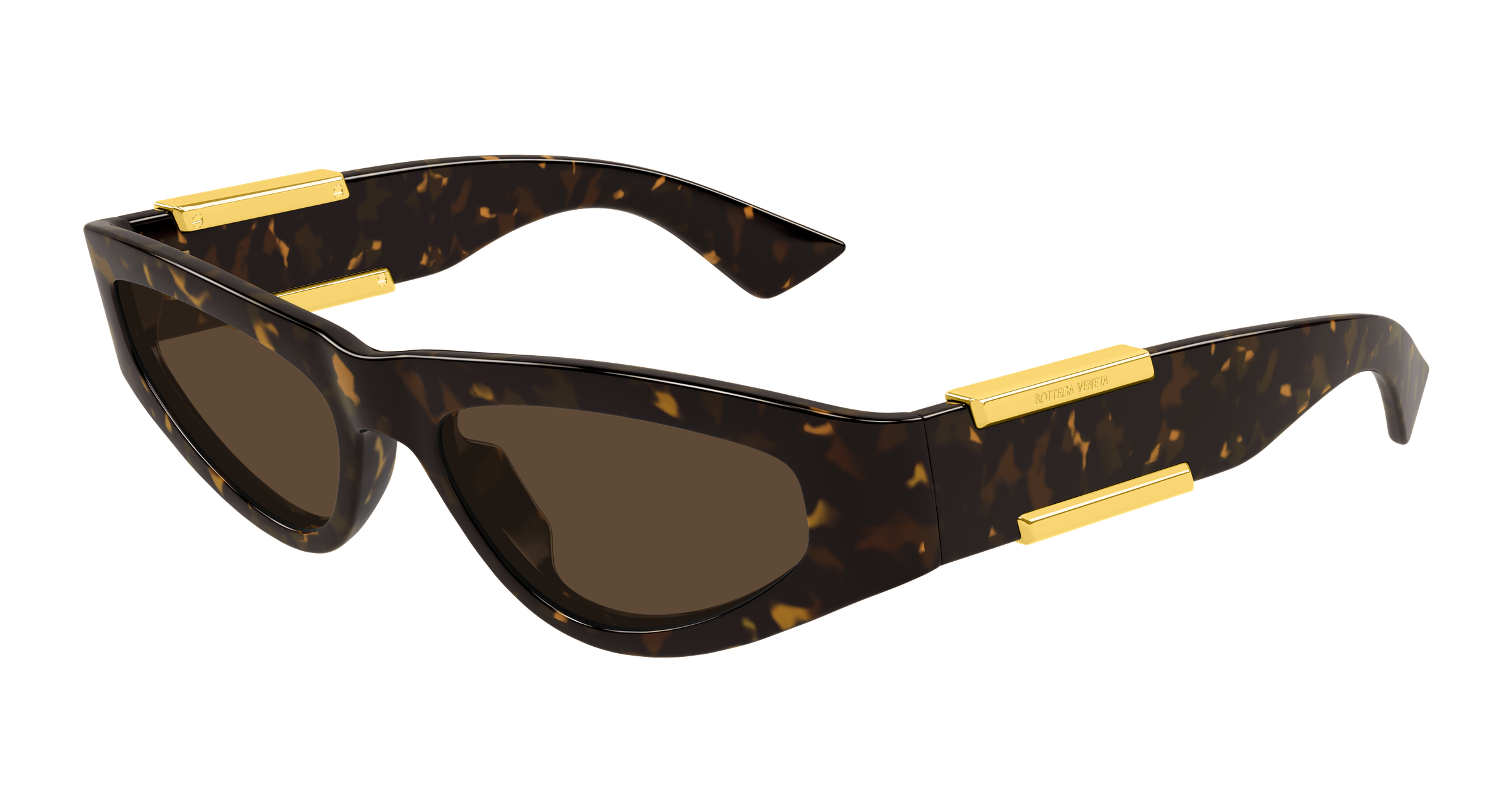 Bottega Veneta BV1407S 002 53
