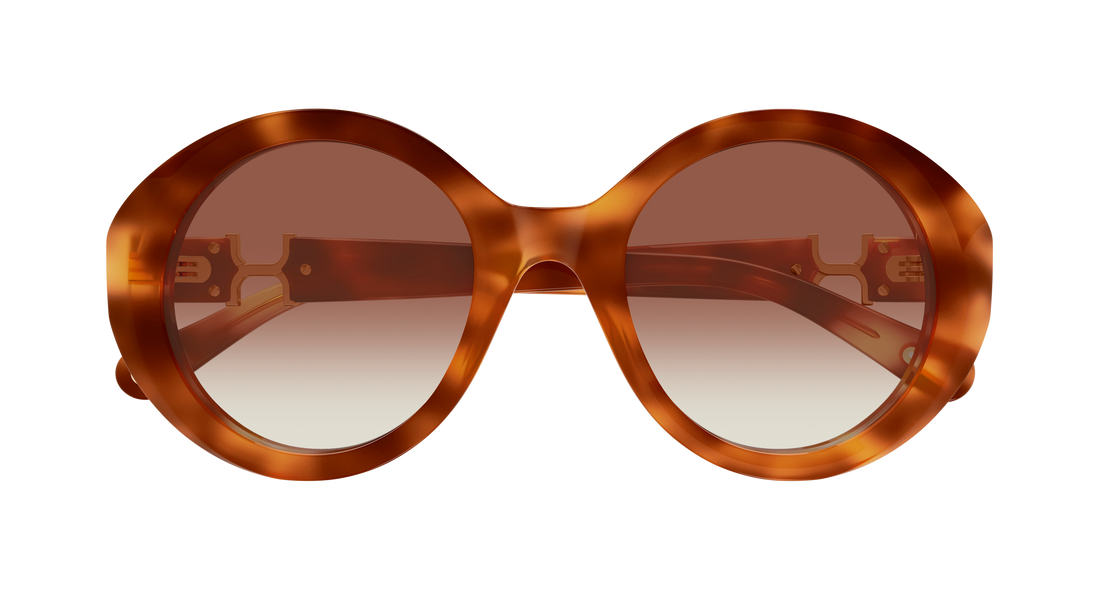 Gafas de sol chloé ch0332s 003 havana round/oval/panthos femenino talla 53mm - Vista de detalle