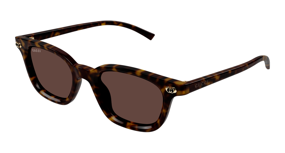Lunettes de soleil gucci gg1946s 002 havana round/oval/panthos masculino taille 48mm - Vue principale