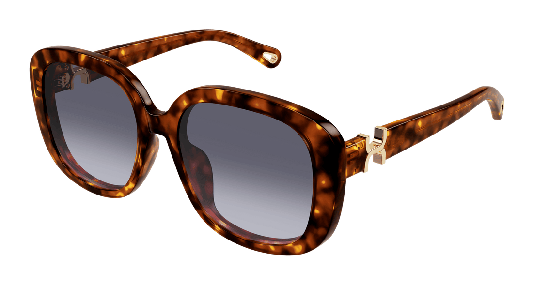 Gafas de sol chloé ch0303sk 002 havana square femenino talla 56mm - Vista principal