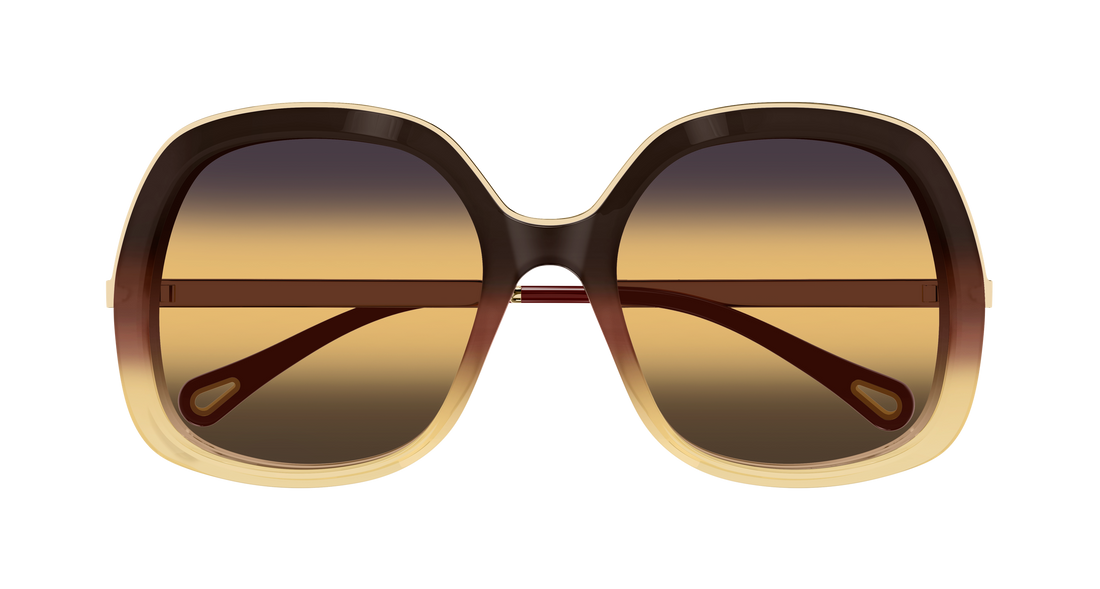 Gafas de sol chloé ch0327s 003 marron rectangular / squared femenino talla 56mm - Vista de detalle
