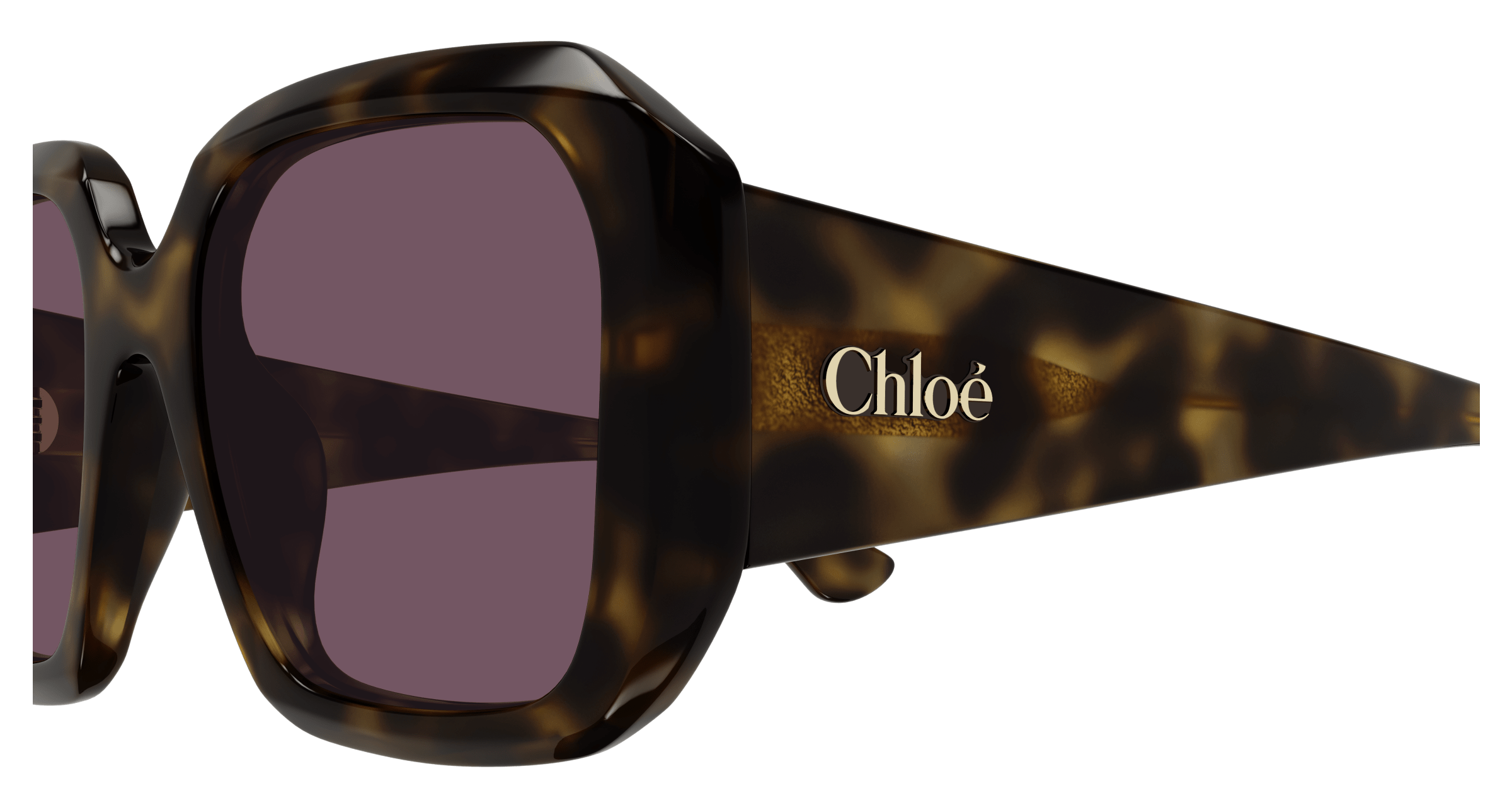 CHLOÉ CH0300S 002 54