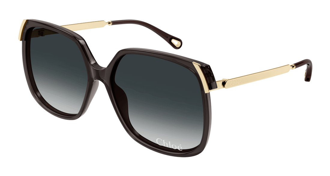 Lunettes de soleil chloé ch0286s 001 gris square femenino taille 60mm - Vue principale