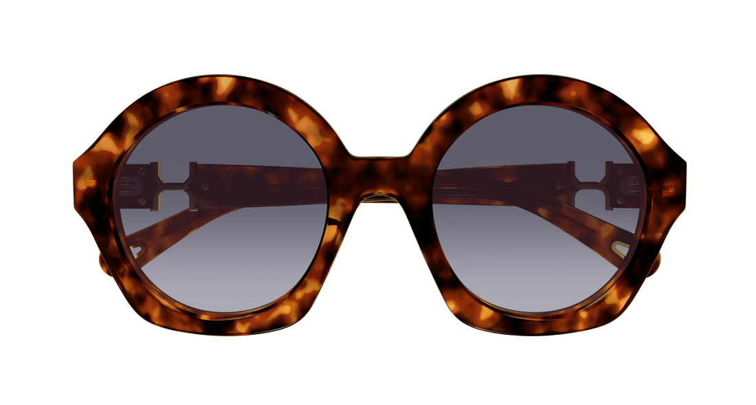 Gafas de sol chloé ch0302s 002 havana round femenino talla 53mm - Vista de detalle