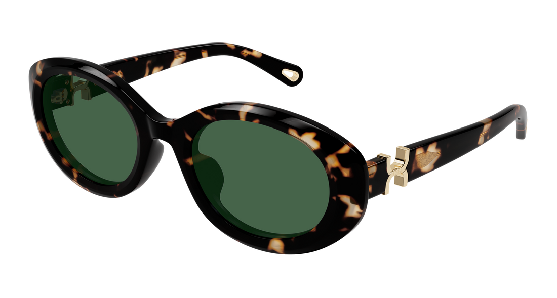 Gafas de sol chloé ch0323sk 002 havana round/oval/panthos femenino talla 54mm - Vista principal