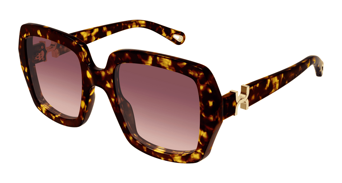 Gafas de sol chloé ch0301s 002 havana square femenino talla 52mm - Vista principal