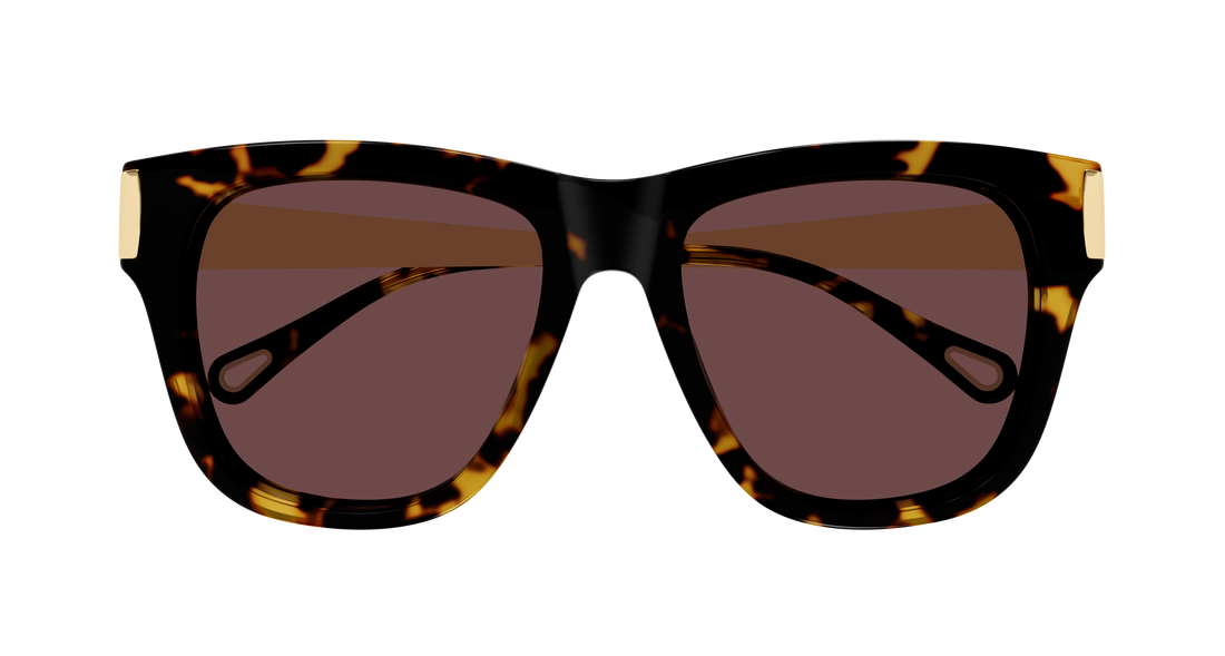 Gafas de sol chloé ch0349s 003 havana cat eye femenino talla 54mm - Vista de detalle