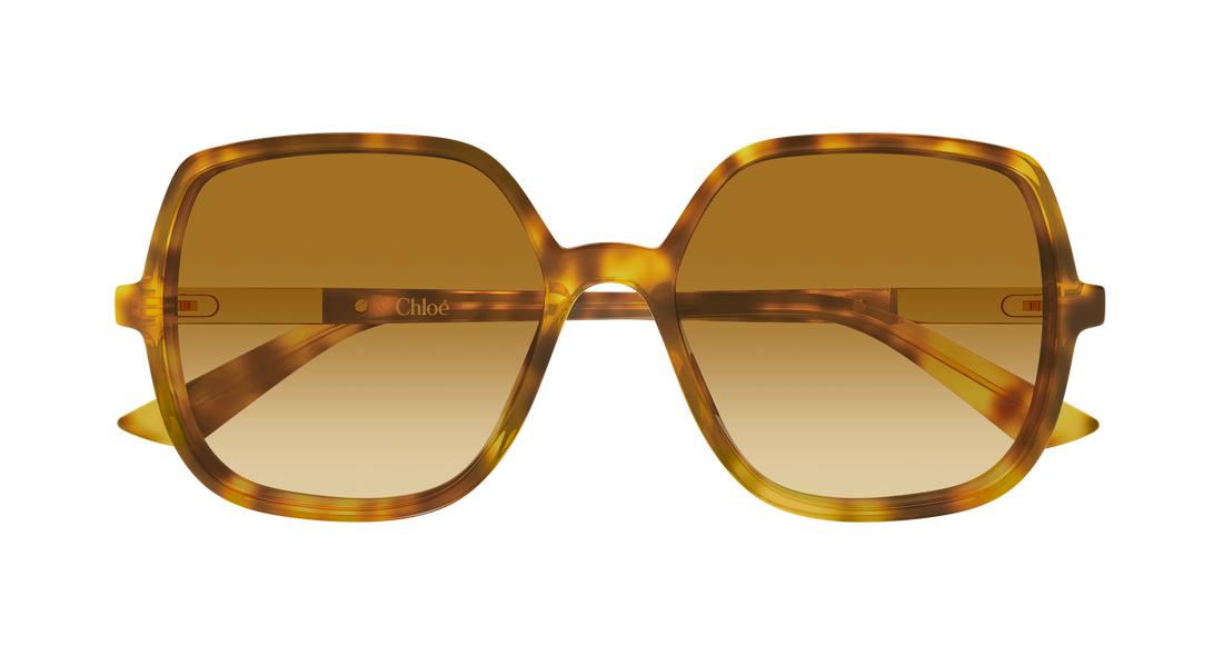 Gafas de sol chloé ch0362s 004 havana geometrical/directional femenino talla 55mm - Vista de detalle