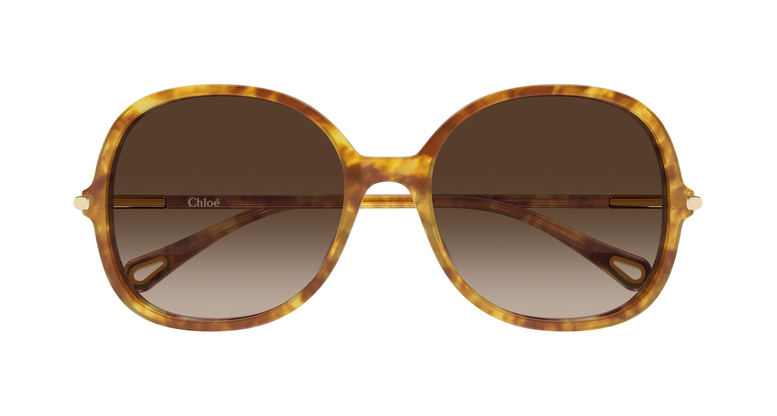 Lunettes de soleil chloé ch0383s 002 havana round/oval/panthos femenino taille 57mm - Vue détaillée