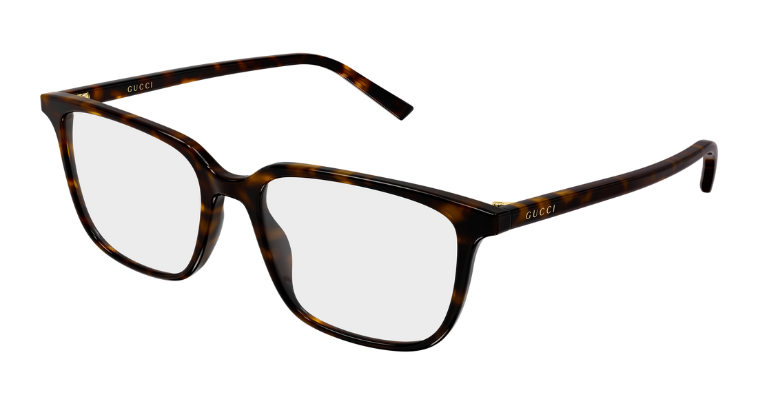 Brillen gucci gg2238o 006 havana round/oval/panthos masculino größe 56mm - Hauptansicht