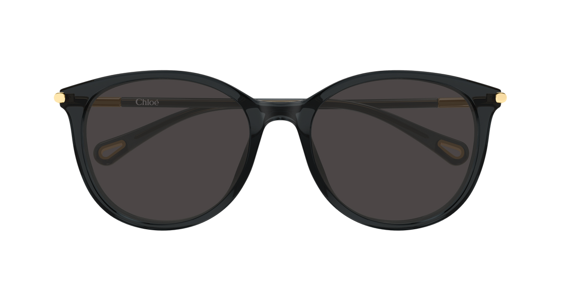 Lunettes de soleil chloé ch0397sk 001 gris round/oval/panthos femenino taille 56mm - Vue détaillée