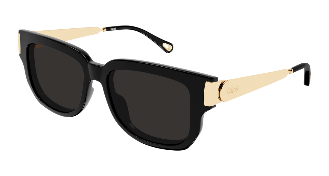 Gafas de sol chloé ch0351s 001 negro rectangular / squared femenino talla 54mm - Vista principal