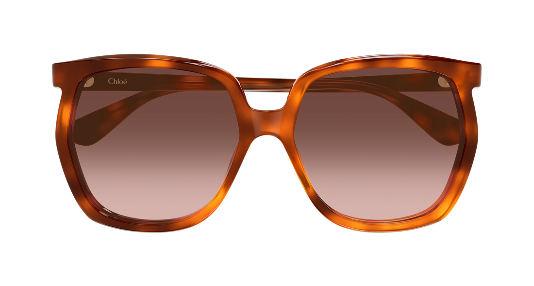 Lunettes de soleil chloé ch0389s 002 havana rectangular / squared femenino taille 61mm - Vue détaillée