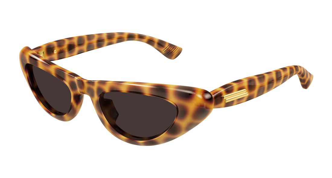 Sunglasses bottega veneta bv1450s 002 havana cat eye femenino size 51mm - Main view