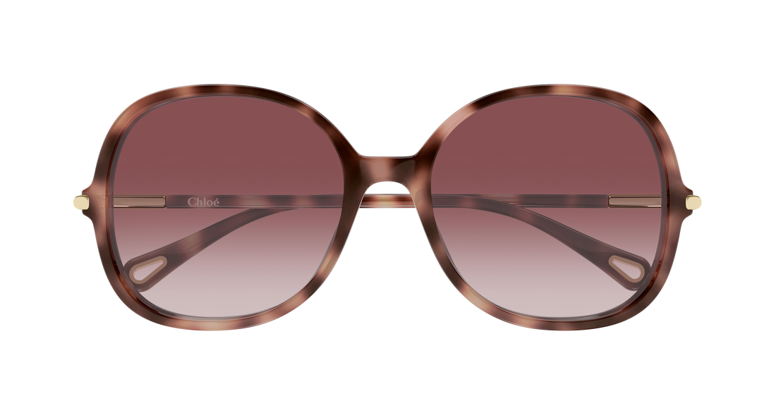 Lunettes de soleil chloé ch0383s 004 havana round/oval/panthos femenino taille 57mm - Vue détaillée