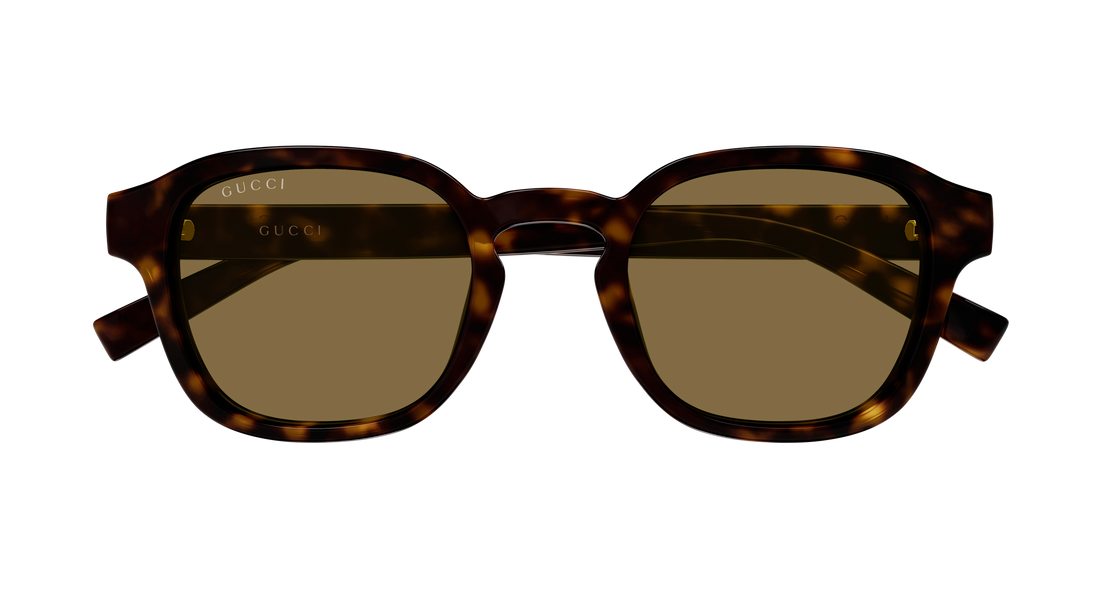 Occhiali da sole gucci gg2106s 002 havana round/oval/panthos masculino taglia 49mm - Vista dettagliata