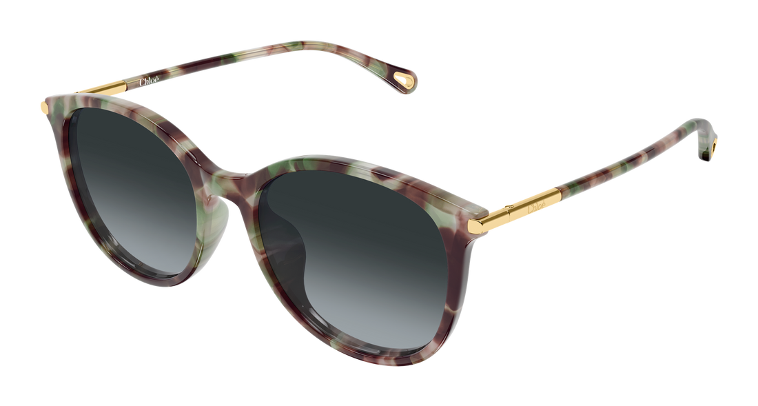 Lunettes de soleil chloé ch0397sk 004 havana round/oval/panthos femenino taille 56mm - Vue principale