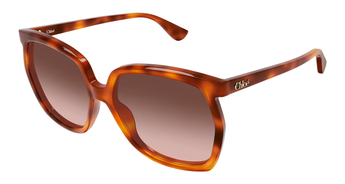 Lunettes de soleil chloé ch0389s 002 havana rectangular / squared femenino taille 61mm - Vue principale