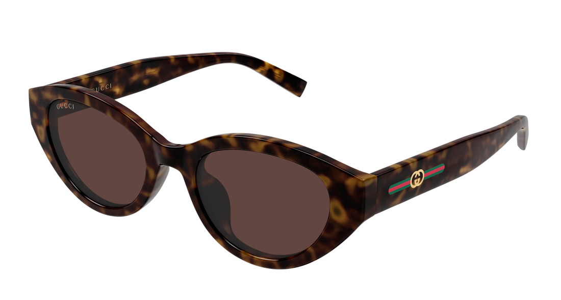 Lunettes de soleil gucci gg2105sa 002 havana cat eye femenino taille 52mm - Vue principale