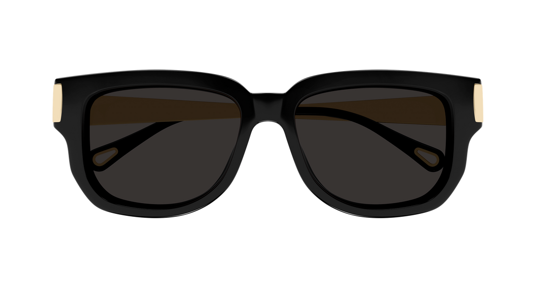 Gafas de sol chloé ch0351s 001 negro rectangular / squared femenino talla 54mm - Vista de detalle