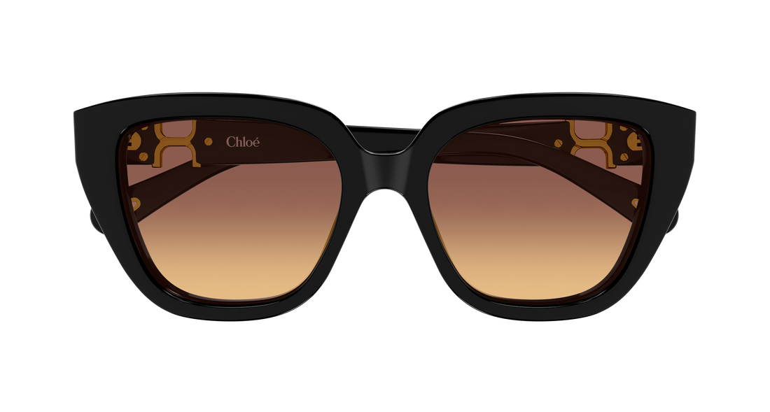 Lunettes de soleil chloé ch0410s 001 negro cat eye femenino taille 53mm - Vue détaillée
