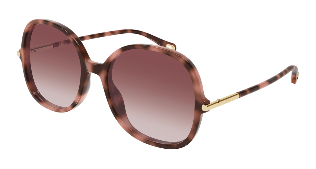 Gafas de sol chloé ch0383s 004 havana round/oval/panthos femenino talla 57mm - Vista principal