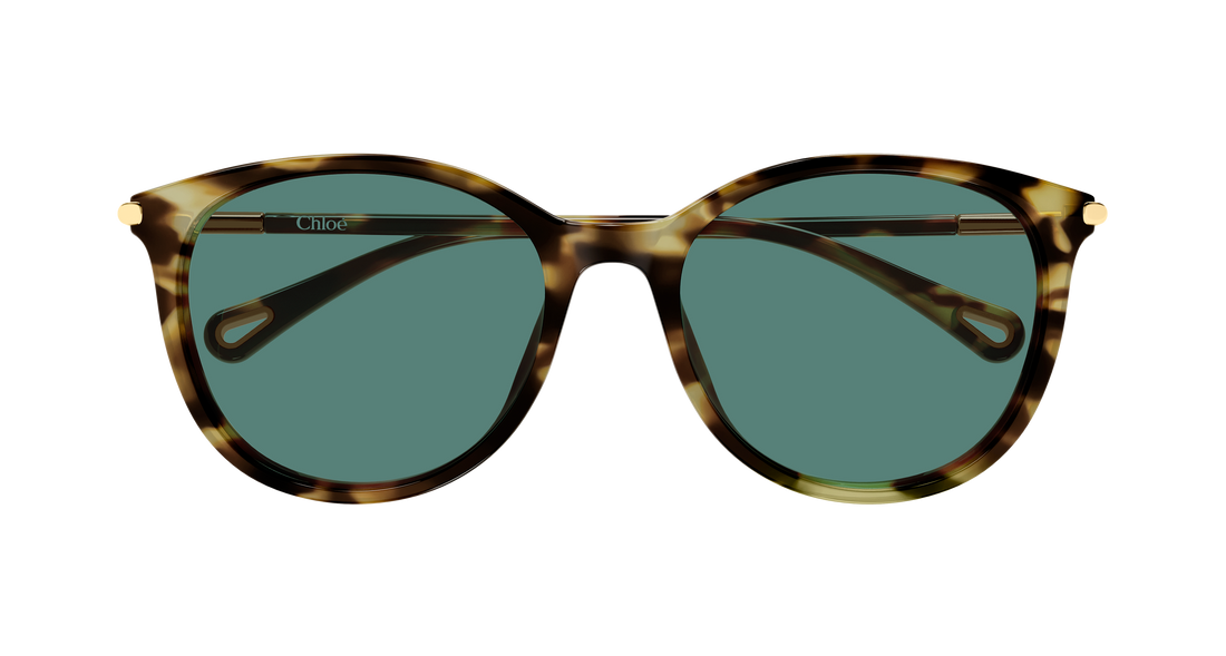 Lunettes de soleil chloé ch0397sk 002 havana round/oval/panthos femenino taille 56mm - Vue détaillée