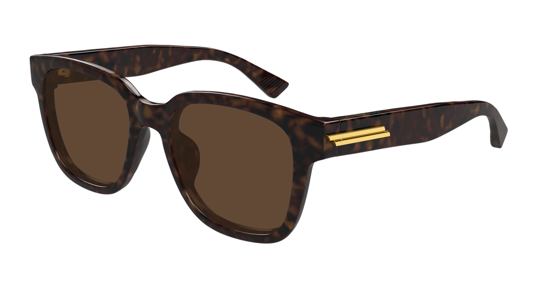 Sunglasses bottega veneta bv1461sk 002 havana rectangular / squared masculino size 54mm - Main view