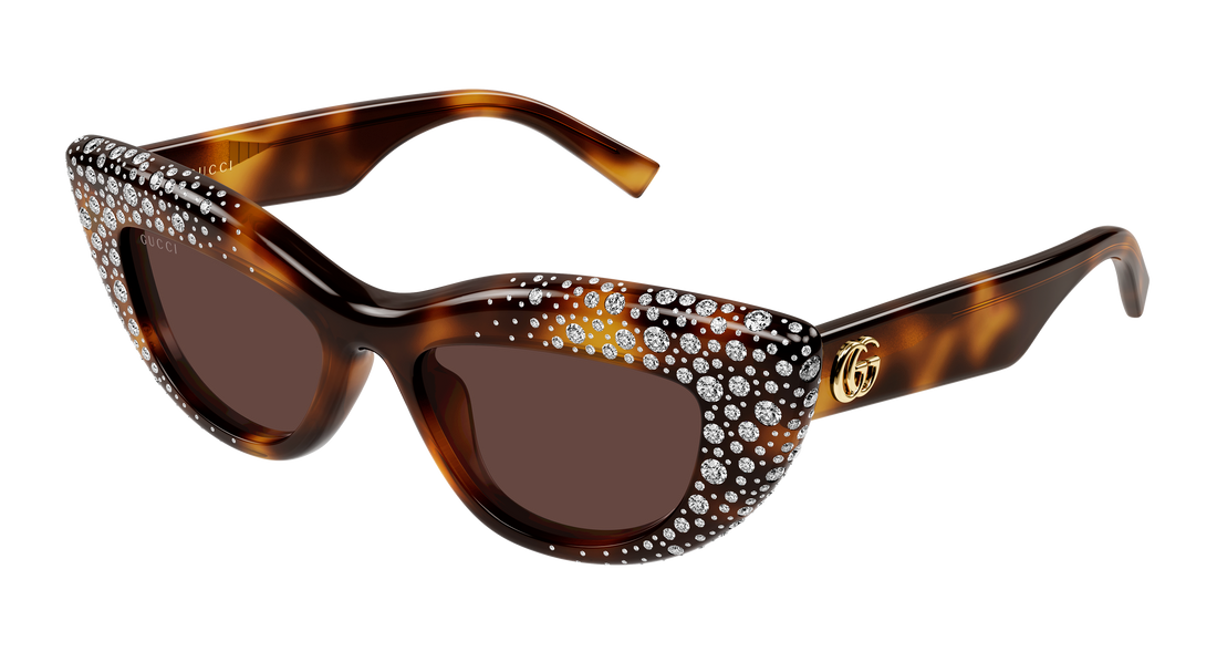 Sonnenbrillen gucci gg2031s 006 havana cat eye femenino größe 50mm - Hauptansicht