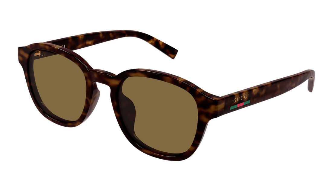 Sunglasses gucci gg2109sk 002 havana round/oval/panthos masculino size 53mm - Main view