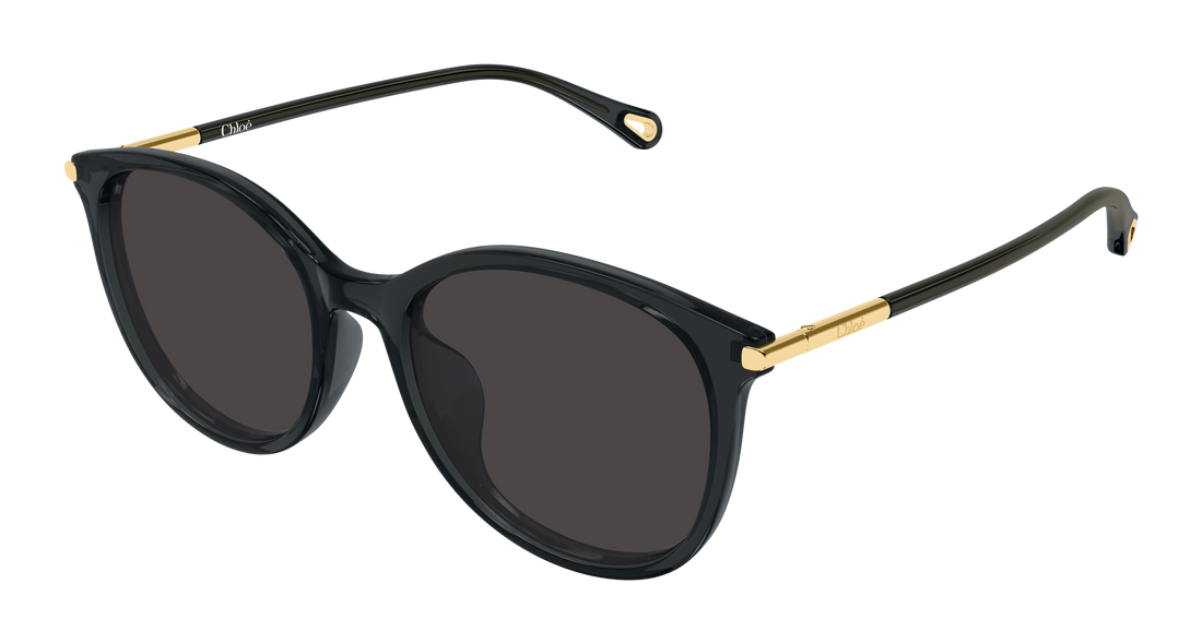 Lunettes de soleil chloé ch0397sk 001 gris round/oval/panthos femenino taille 56mm - Vue principale