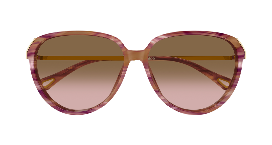 Lunettes de soleil chloé ch0406s 002 havana round/oval/panthos femenino taille 59mm - Vue détaillée