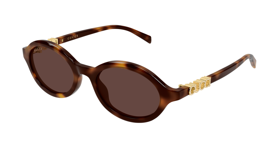 Sonnenbrillen gucci gg2153s 006 havana round/oval/panthos femenino größe 51mm - Hauptansicht