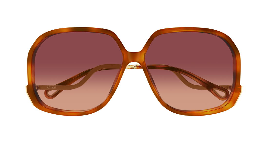 Gafas de sol chloé ch0404s 001 havana geometrical/directional femenino talla 60mm - Vista de detalle