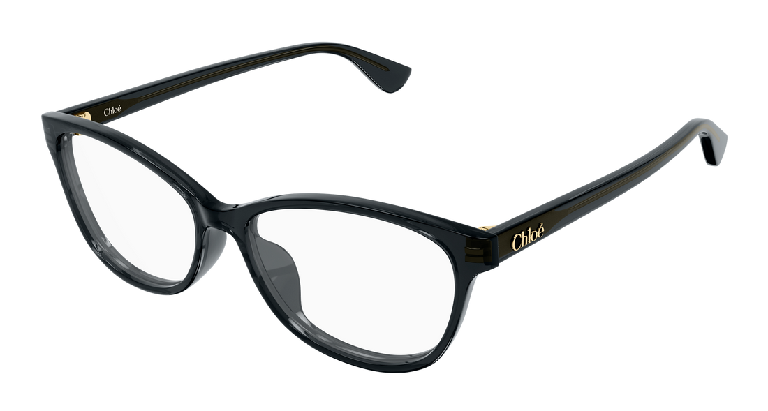 Lunettes de vue chloé ch0394ol 006 gris cat eye femenino taille 57mm - Vue principale
