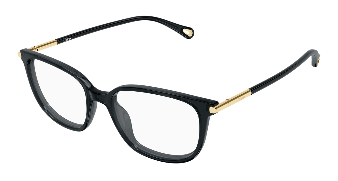 Lunettes de vue chloé ch0400o 001 gris cat eye femenino taille 53mm - Vue principale