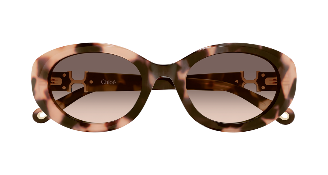 Lunettes de soleil chloé ch0323sk 006 havana round/oval/panthos femenino taille 54mm - Vue détaillée