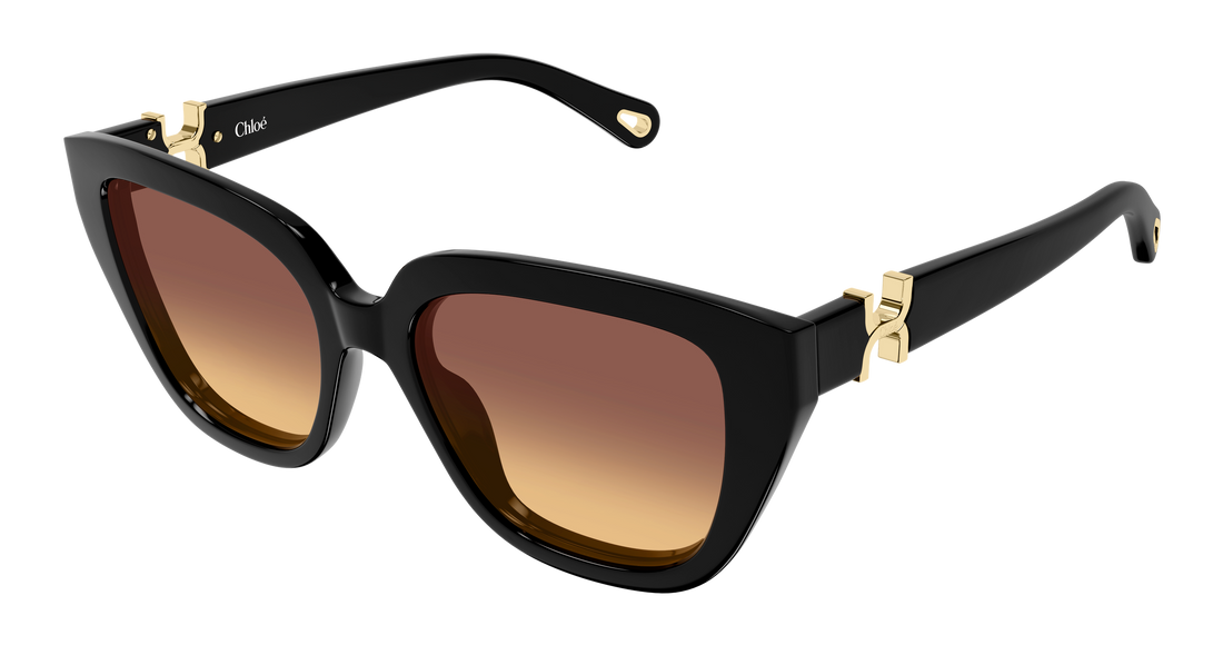 Lunettes de soleil chloé ch0410s 001 negro cat eye femenino taille 53mm - Vue principale