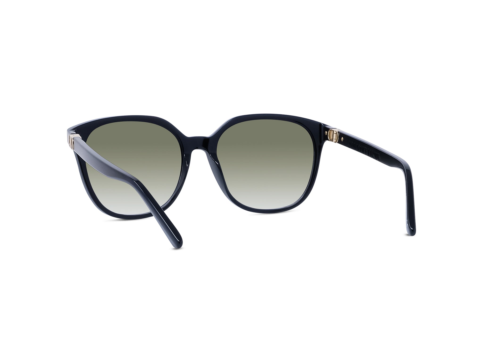DIOR 30MONTAIGNEMINI SI 10A1 58