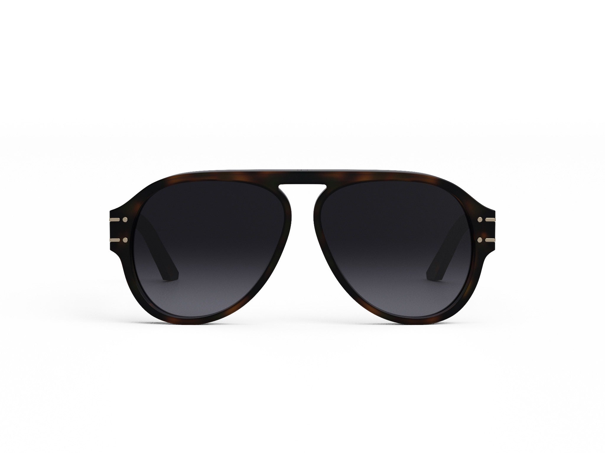 DIORSIGNATURE A1U 26A1 58